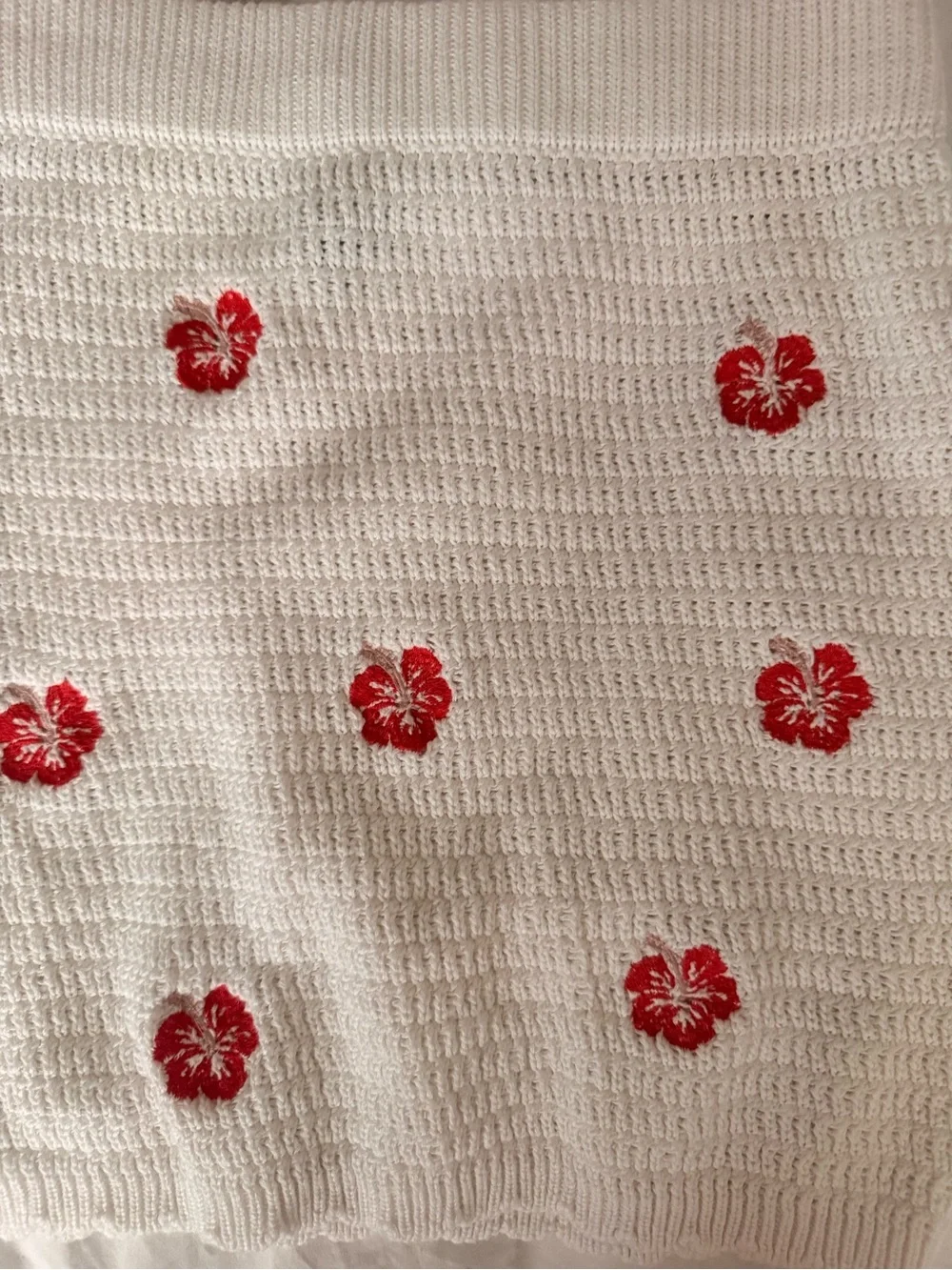 wild fable Cream Crochet Skirt Set with Red Flower Embroidery